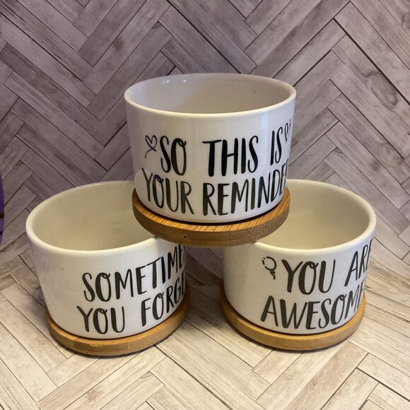 Ceramic Succulent Planters With Bamboo Bases Set Of Three New - Picture 1 of 3